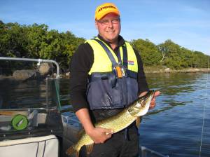 Willys 2,5 kg gädda Willys 2,5 kg gädda