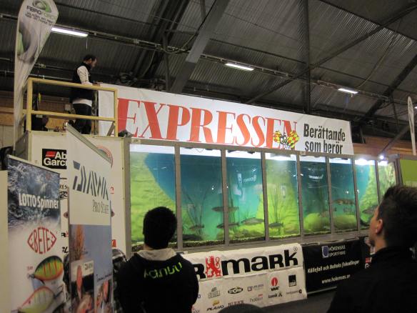 Förevisning i vattentanken