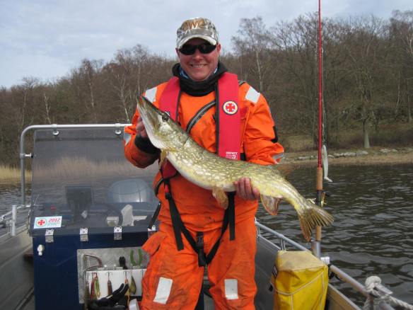 88 centimeterspike 4,5 kilo