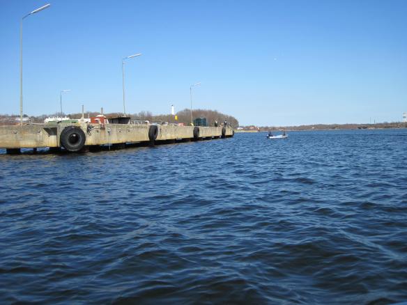 Sillfiske i handelshamnen