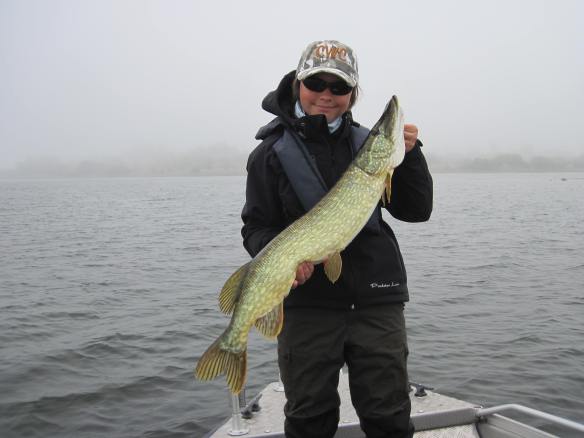 Gädda fångades i dimman