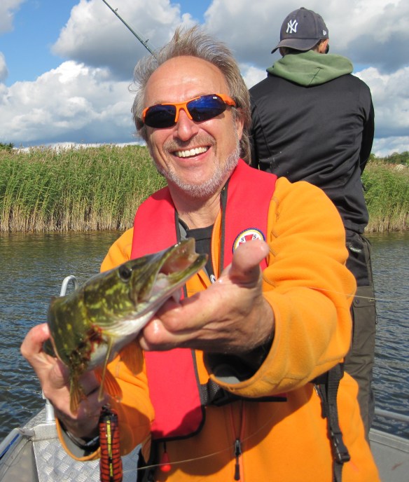 Linkan med en riktig best