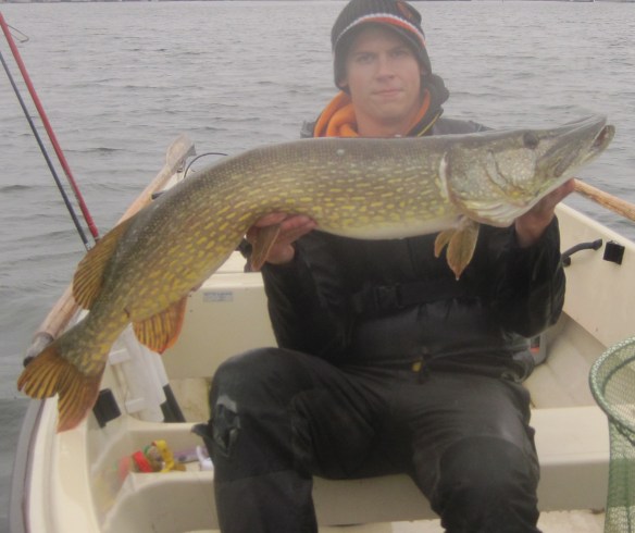 115 cm lång 10,3 kg