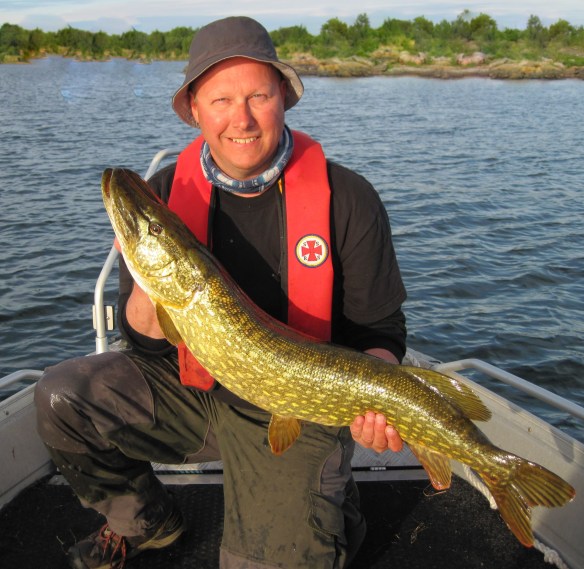 Äntligen en metersfisk