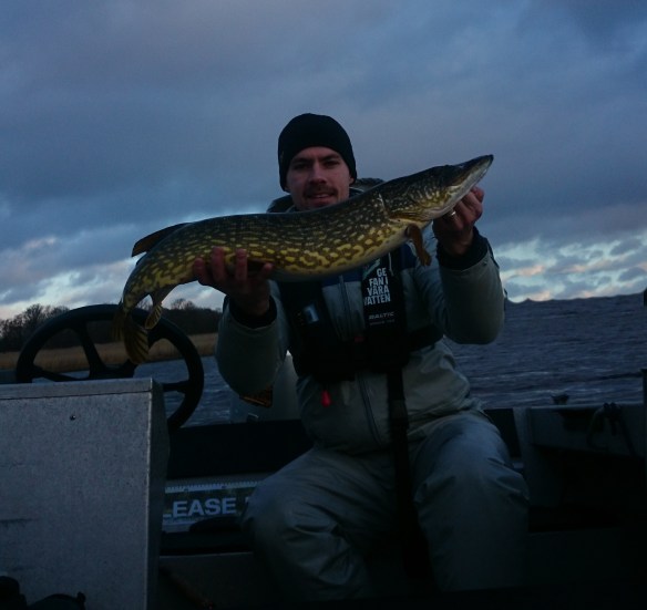 4 kilos pike