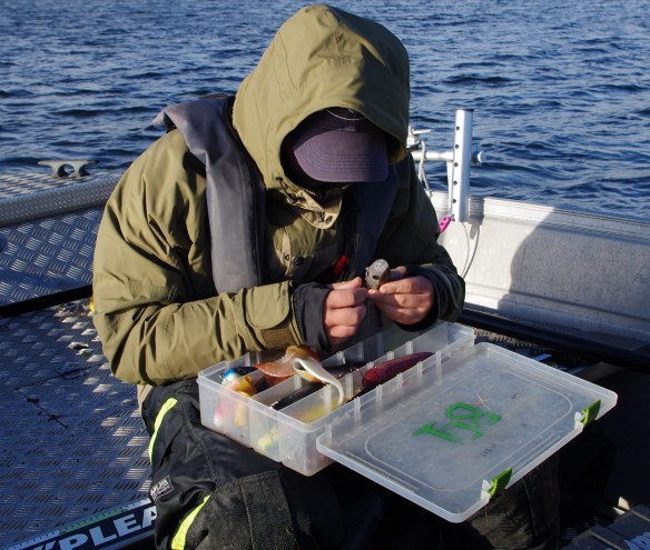 Willy och betesboxen