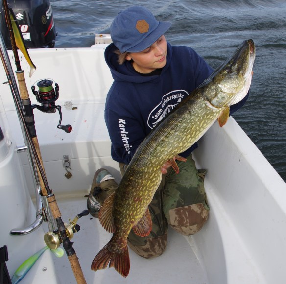 Willy med smal 103:a