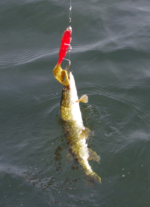 Bra självförtroende