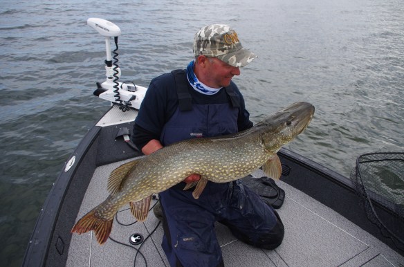 928444FE-2E92-42AC-8950-F97FB706E502